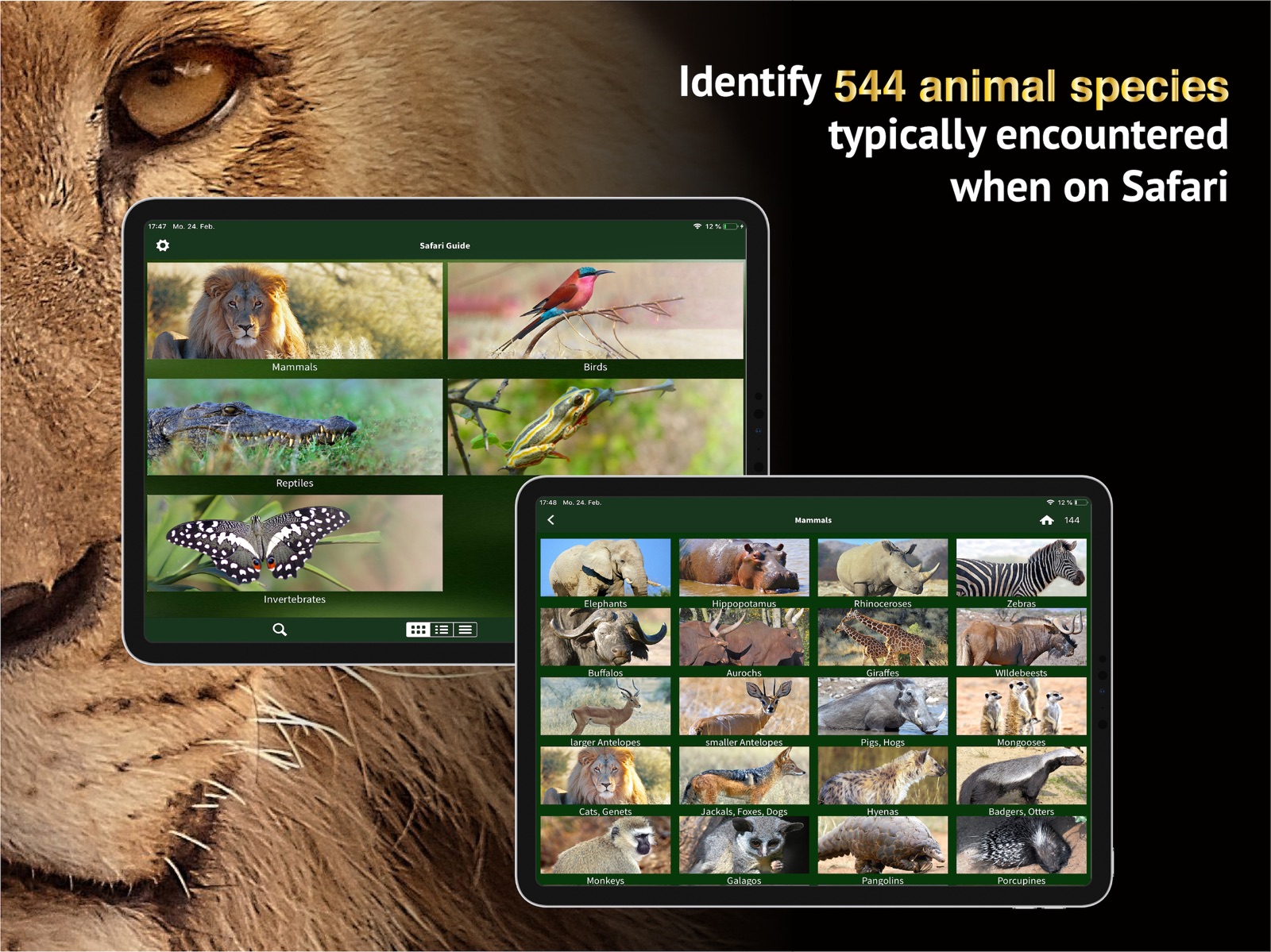 The Golden Safari Guide ipad screenshot 2