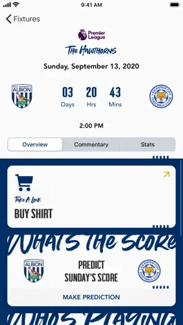 Game screenshot West Bromwich Albion hack