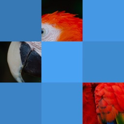 Bloxels - Guess The Pic