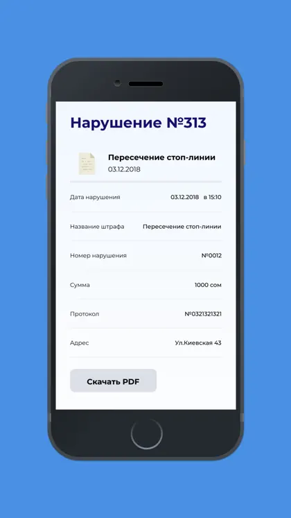 ШтрафИнфо KG ekran görüntüsü 3 / 3