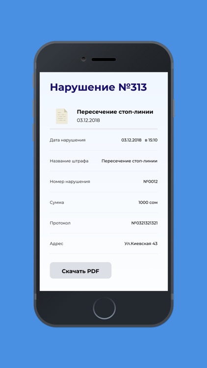 ШтрафИнфо KG