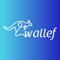 Wallef is an application the helps businesses to engage customers by loyalty campaigns