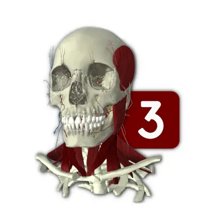 Head and Neck Anatomy 3 Читы