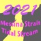 This application calculates the whole year of 2021 and the previous years, the tidal stream directions and intensity for the Messina Strait