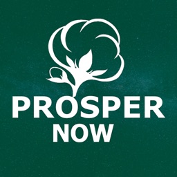 Prosper Now