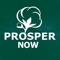Prosper Now is the official guide to the Town Of Prosper in Texas