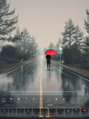 humans photo editor айпад изображения 3