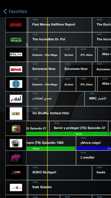 IPTV Streamer Pro Screenshot 5