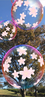 Bubbles AR/MR screenshot 12