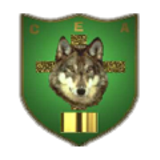 Centro Escolar Akela