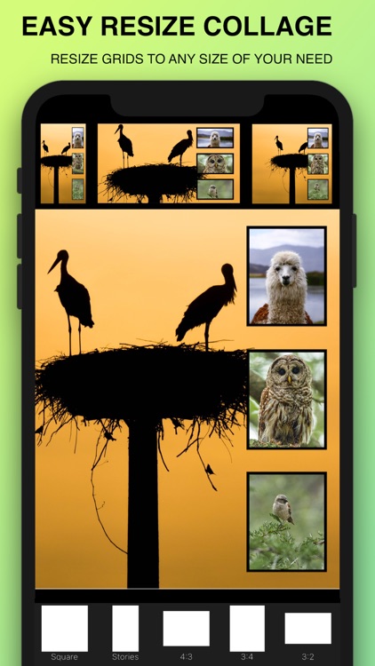 Photo Collage Maker : Pic Grid screenshot-3