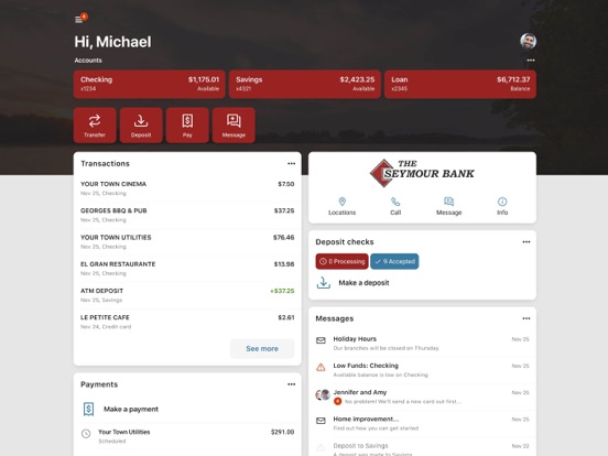 The Seymour Bank iPad screenshot 1 - Finance app