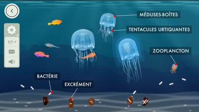 Screenshot #2 pour Les Récifs Coralliens-Tinybop