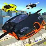 Flying Car Transport Simulator App Problems