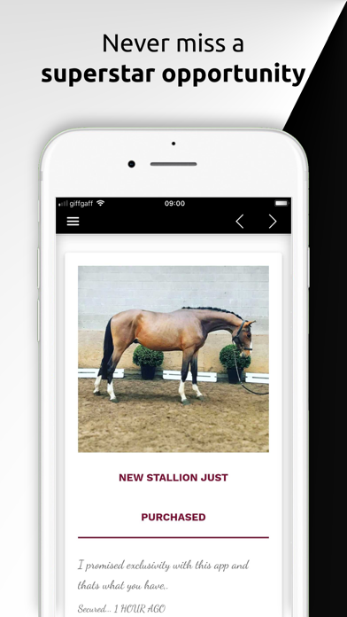 Vecthom Sporthorses Screenshot