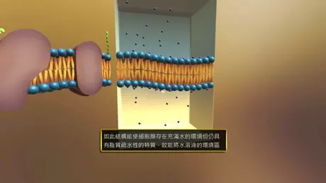 翰林細胞膜VR