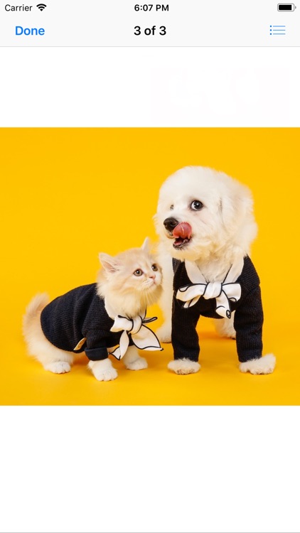 Pets In Costume