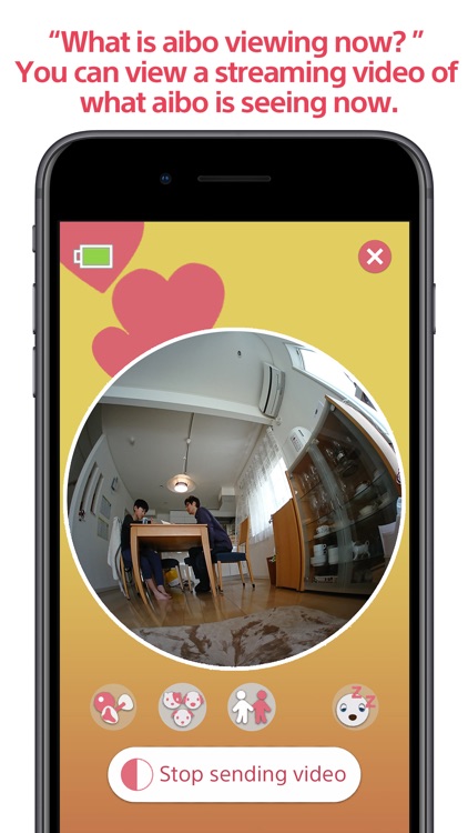 My aibo screenshot-4