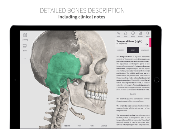Anatomyka Skeleton iPad screenshot 4 - Education app