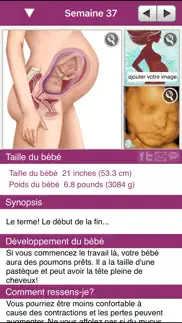 ipregnant lite iPhone Captures Décran 2