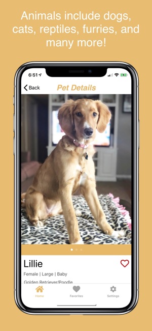 Simply Adopt(圖3)-速報App