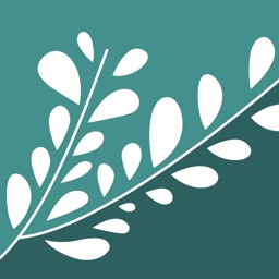 Tanaf ~ الطناف