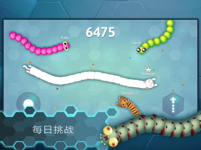 贪食蛇王大作战