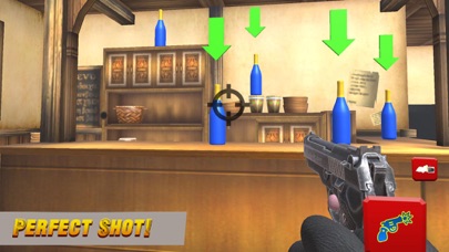 Xtreme Bottle Shooter Pro screenshot 2