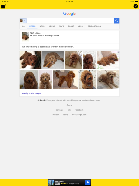 Screenshot #5 pour Search By Image !!