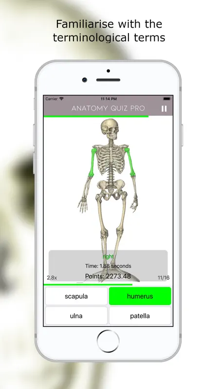 Anatomy Quiz Premium screenshot 1 of 7