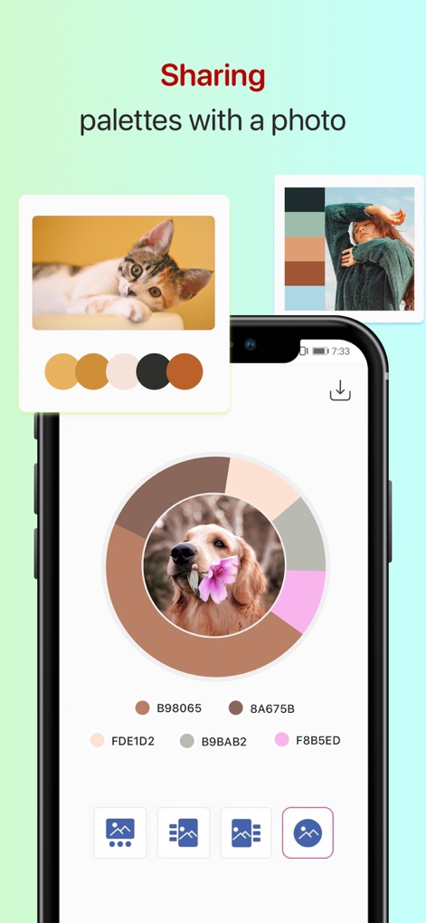 Color Collect - Palette Studio - 