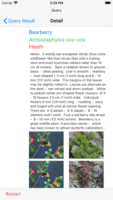 NCFlowers Screenshot