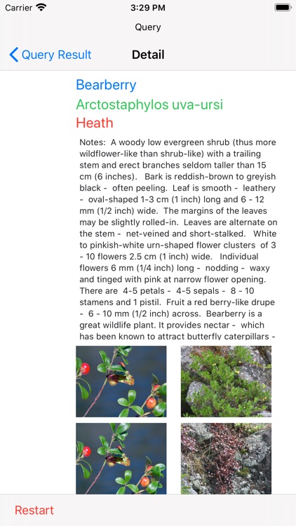 NCFlowers screenshot-7