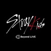 Stray Kids AR icon