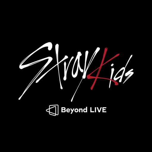 Stray Kids AR