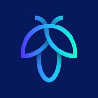 FlyScreen - Screenshot Manager messages.notwork