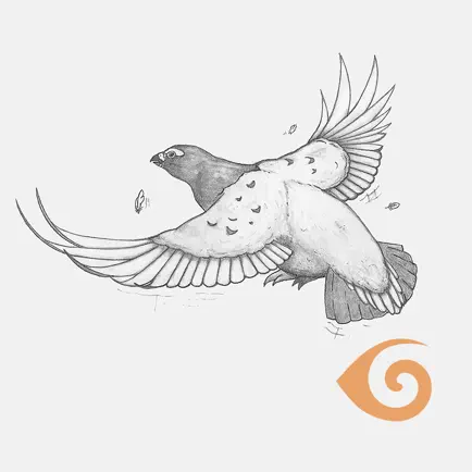 Qateryuk Читы