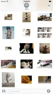 funny animal cat baby stickers iphone screenshot 2