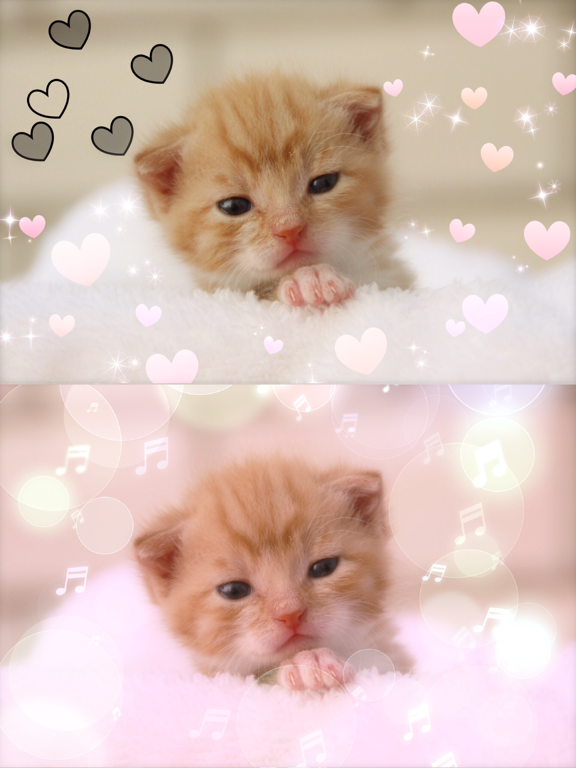 Glitter Photo Editor Lite iPad screenshot 2 - Photo & Video app