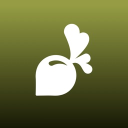 Fab Recipes