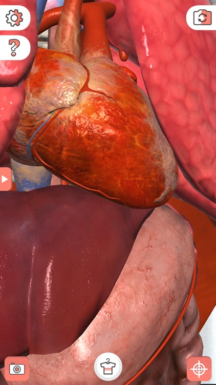 Magic T-shirt screenshot-3