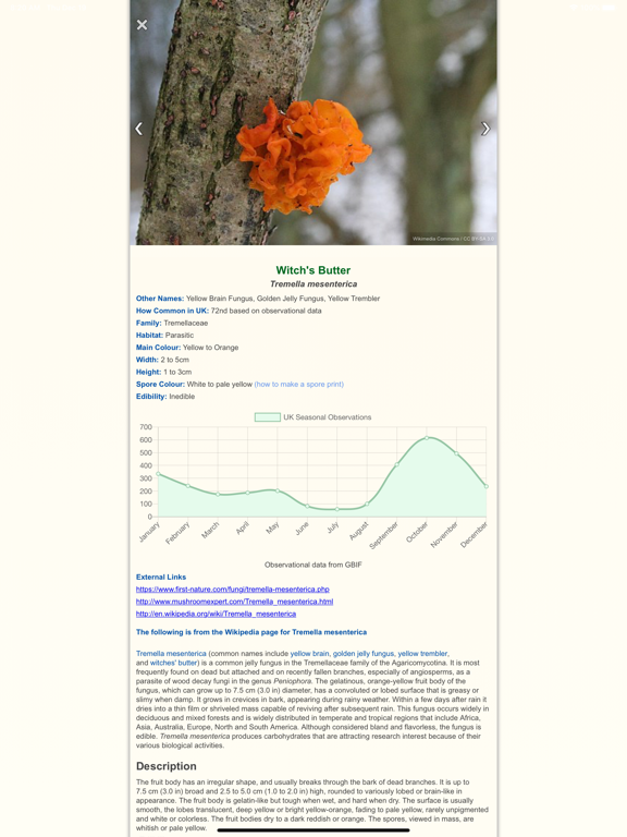 Shroomify - Mushroom ID USA iPad screenshot 6 - Education app