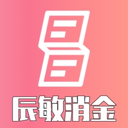 辰敏消金