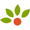 Fruitjo - فروت جو icon