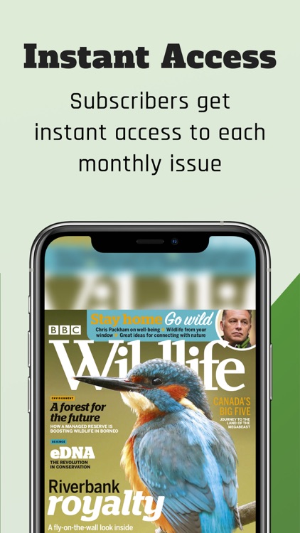 BBC Wildlife Magazine screenshot-7