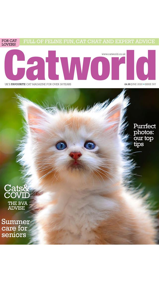 Catworld Magazine
