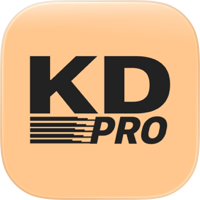 KD Pro Disposable Camera