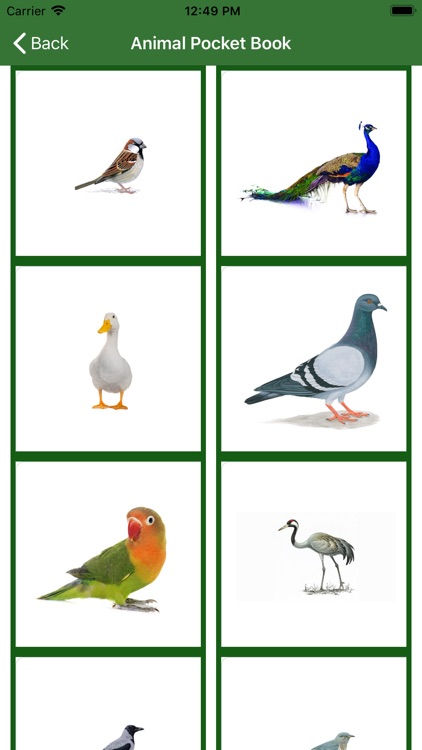 Animal Pocket Book screenshot-4