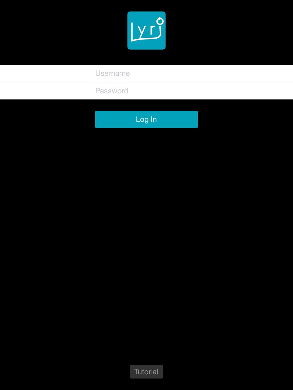 iPad screenshot