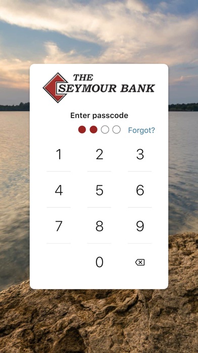 The Seymour Bank Screenshot